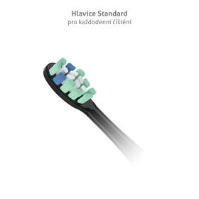 Náhradní hlavice TrueLife SonicBrush Clean-series heads Standard black 8 pack černá

 obrázek produktu 1 z 3