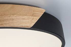 Stropní svítidlo Rabalux Maple2 71416 černé

 obrázek produktu 5 z 5