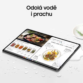 Dotykový tablet Samsung Galaxy Tab S12 Ultra 12 GB / 512 GB + dotykové pero šedý

 obrázek produktu 13 z 24