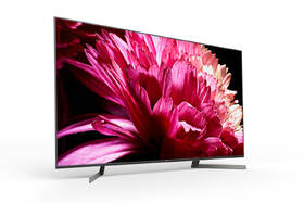 Televize Sony KD-65XG9505 

 obrázek produktu 3 z 13