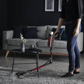 Tyčový vysavač Rowenta RH2079WO X-Force Flex 9.60 Animal Care 3 v 1, 100 AW červený

 obrázek produktu 8 z 13