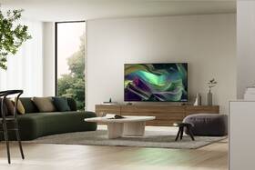 Televize Sony KD-65X85L 

 obrázek produktu 13 z 17
