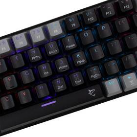 Klávesnice White Shark WAKIZASHI 2, Blue Switch, US layout černá

 obrázek produktu 2 z 6
