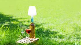 Venkovní lampička Fischer & Honsel na láhev, Fiocco, 1x LED, 1,5 W bílá

 obrázek produktu 7 z 8