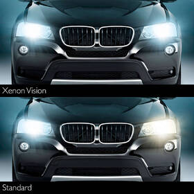 Autožárovka Philips Xenon Vision D2S (1 ks) 
