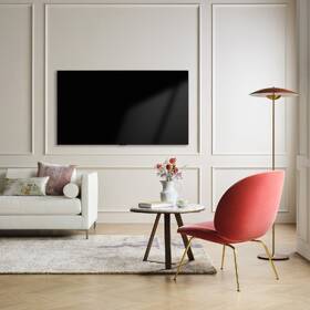 Televize LG OLED48A1 

 obrázek produktu 9 z 11