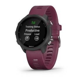 Chytré hodinky Garmin 245 Optic vínové

 obrázek produktu 4 z 8