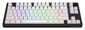 Klávesnice HATOR Skyfall 80 Wireless, US layout černá/bílá

 obrázek produktu 3 z 7