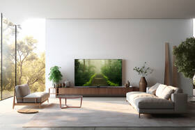 Televize Panasonic TB-65W60AEZ 
