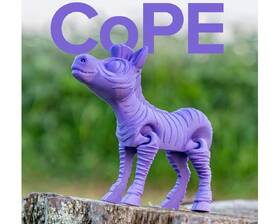 Filament Polymaker Panchroma CoPE fialový

 obrázek produktu 1 z 3