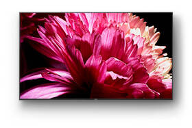 Televize Sony KD-65XG9505 

 obrázek produktu 8 z 13