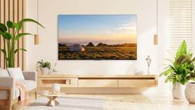 Televize TCL 55P655 
