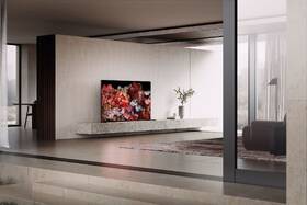Televize Sony XR-65X95L 
