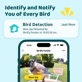 Ptačí krmítko Birdfy s kamerou a solárním panelem (AI předplatné) 

 obrázek produktu 2 z 9