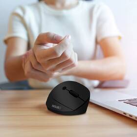 Myš Evolveo LadyErgo černá

 obrázek produktu 9 z 13