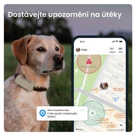 GPS lokátor Tractive DOG 6 hnědý

 obrázek produktu 2 z 10