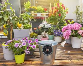 Zavlažovací systém Gardena AquaBloom 

 obrázek produktu 8 z 17