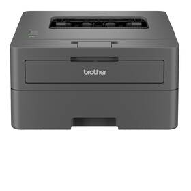 Tiskárna laserová Brother HL-L2402D černá

 obrázek produktu 4 z 6