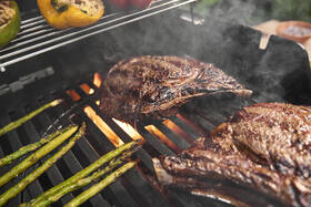 Gril zahradní plynový Weber EP-425 Black černý

 obrázek produktu 15 z 16