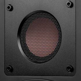 Reproduktory Swan M300MKII (2 ks) hnědé

 obrázek produktu 10 z 16