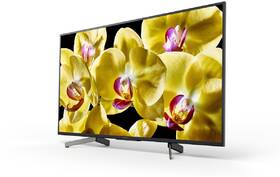 Televize Sony KD-43XG8096 

 obrázek produktu 3 z 6