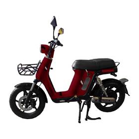 Elektroskútr RACCEWAY E-BABETA II vínový

 obrázek produktu 1 z 2
