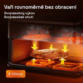 Fritéza horkovzdušná COSORI TF101S Dual Blaze TwinFry 10 l černá

 obrázek produktu 4 z 14