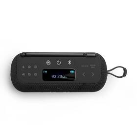 Přenosný reproduktor JBL Tuner 3 černý

 obrázek produktu 3 z 11