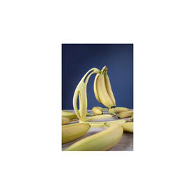 Filament Filament PM PLA+ 1,75 mm, 1 kg - Banana Yellow 

 obrázek produktu 3 z 4