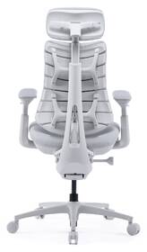 Ergonomická židle LiberNovo Omni Pro Glacier, 48cm světle šedá

 obrázek produktu 2 z 19