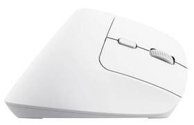 Myš Trust Bayo+ Ergonomic Wireless bílá

 obrázek produktu 1 z 8