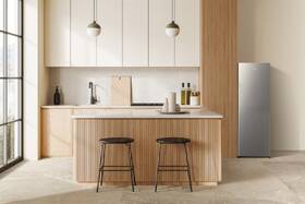 Mraznička Gorenje FN4172CS stříbrná

 obrázek produktu 7 z 7