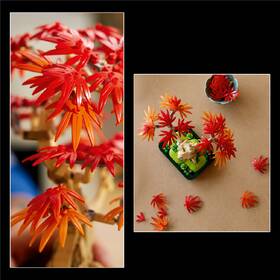 Stavebnice LEGO® Botanicals 10348 Bonsaj – Japonský červený javor 

 obrázek produktu 4 z 9