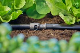 Spojka Gardena MicroDrip System 13 mm 1/2" (1 ks) 

 obrázek produktu 3 z 6
