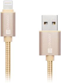 Kabel Connect IT Wirez Premium Metallic, Lightning, 1m zlatý

 obrázek produktu 2 z 2