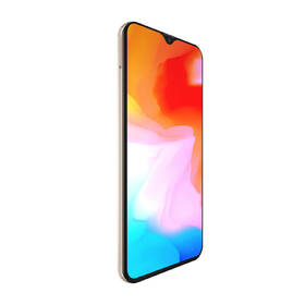 Mobilní telefon CUBOT X20 Pro zlatý

 obrázek produktu 3 z 8