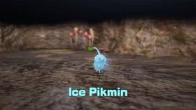 Hra Nintendo Switch 2 Pikmin 4 + Dandori Academy 

 obrázek produktu 6 z 6