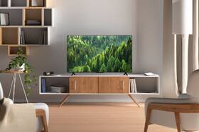 Televize TCL 43S5L 

 obrázek produktu 15 z 15