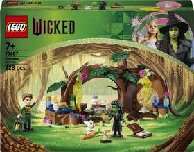 Stavebnice LEGO® Wicked 75687 Elphaba a její úkryt 

 obrázek produktu 4 z 8