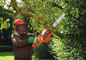 Řetězová pila Black-Decker CS2040 

 obrázek produktu 7 z 7