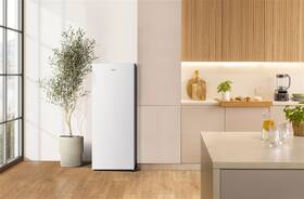 Mraznička Gorenje F414D2W5 bílá

 obrázek produktu 5 z 5