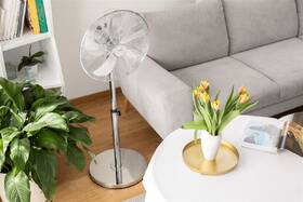 Ventilátor stojanový Sencor SFN 4040SL stříbrný

 obrázek produktu 11 z 13