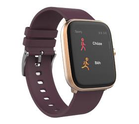 Chytré hodinky iGET FIT F20 zlaté

 obrázek produktu 2 z 5