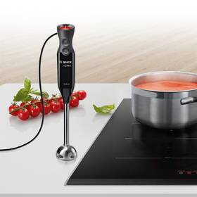 Ponorný mixér Bosch MS61B6150 černý

 obrázek produktu 4 z 8