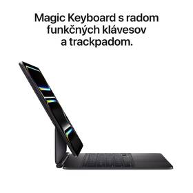 Dotykový tablet Apple iPad Pro 13" M5 Wi‑Fi 256 GB standardní sklo - vesmírně černý 

 obrázek produktu 12 z 14