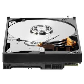 Pevný disk 3,5" Western Digital Plus 10TB 

 obrázek produktu 2 z 3