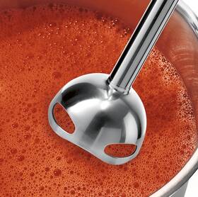 Ponorný mixér Bosch MS62B6190 černý

 obrázek produktu 9 z 21