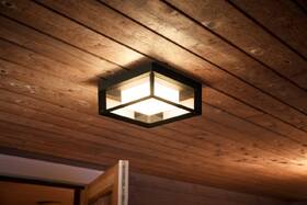 Nástěnné svítidlo Philips Econic White and Color Ambiance černé

 obrázek produktu 5 z 7