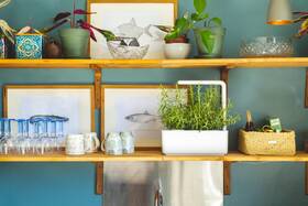 Chytrý květináč Click and Grow Smart Garden 3 bílý

 obrázek produktu 7 z 7