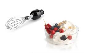 Ponorný mixér Bosch MS62B6190 černý

 obrázek produktu 14 z 21